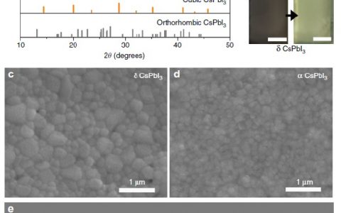 山东大学尹龙卫Nature. Commun. : 通过表面钝化工程增强全无机碘化铯铅钙钛矿太阳能电池性能