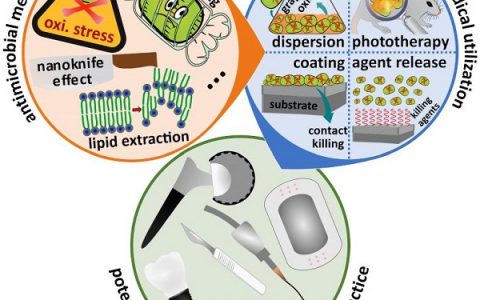 悉尼大学陈元教授Advanced Healthcare Materials综述：石墨烯材料在抗菌纳米医学领域的现状与展望