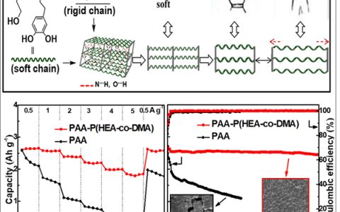 上海交通大学Joule：解决硅负极膨胀的水溶性聚合物粘合剂