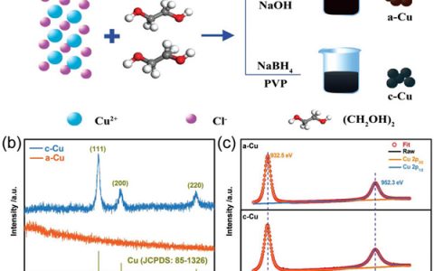吉大鄢俊敏Adv. Mater. : 高活高效非晶态铜纳米颗粒于电催化还原CO2中制备液体燃料的应用