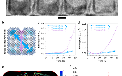 上海交大邬剑波Nat. Commun.:核壳纳米颗粒中非对称腐蚀的纳米尺度动力学