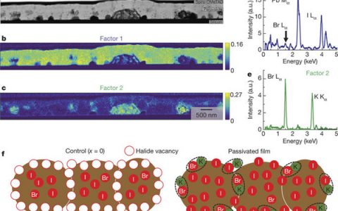 今日锂-氧电池和钙钛矿电池获得新突破，最新成果发布在Nature上