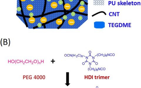 华中科技大学Nano Energy：基于电子/离子双传导凝胶颗粒结构的高容量和长寿命锂氧气电池正极