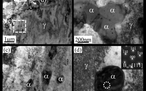 Mater. Sci. Eng. A: 通过强化多种缺陷提高中锰钢的屈服强度