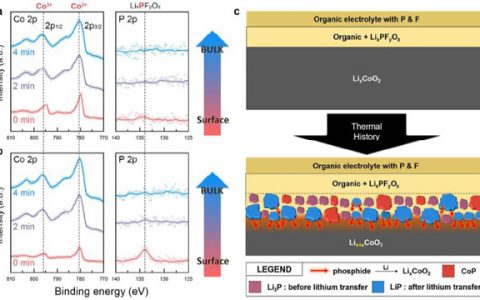 Energ. Environ. Sci：锂离子电池中的异常自放电
