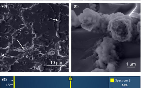 J. Am. Ceram. Soc.：YBCO超导体空气中氧化行为的研究