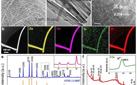 同济大学杨金虎Adv. Energy Mater.: 可缓解应力的硅取代纳米线用于高容量、高稳定性的锂离子电池负极材料