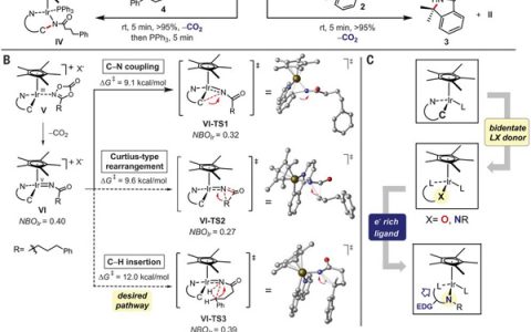 今日Science:通过设计的铱催化剂使C-H酰胺化选择性形成γ-内酰胺