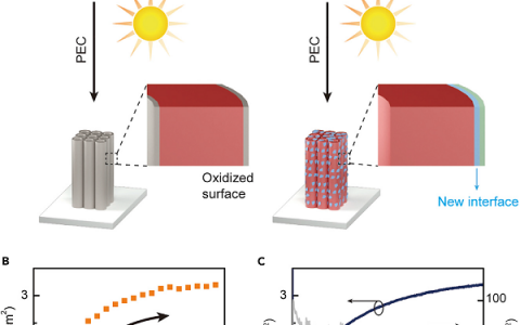 波士顿学院Joule: 王敦伟团队提高氮化钽光裂解水稳定性