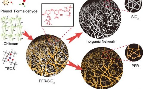 Angew. Chem. Int. Ed.：阻燃和隔热的酚醛树脂-二氧化硅气凝胶