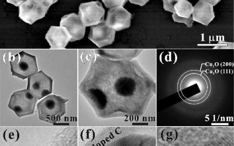 ACS Catalysis：氮掺杂多孔碳包覆Cu2O立方八面体核壳结构有效增加光生载流子