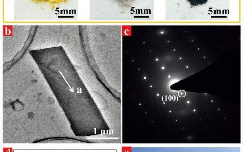 天津大学Angew. Chem. Int. Ed.: 共晶材料首次用于近红外光热转换和成像