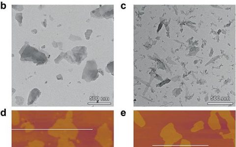 中科大熊宇杰&徐航勋Angew. Chem. Int. Ed.：由超薄化合物纳米片组成的范德华力异质结构用于Z型高效全解水
