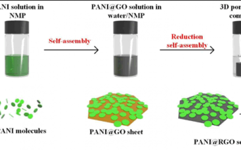 厦门大学Energ. Environ. Sci：用于高性能超级电容器的分子水平均匀的多孔聚苯胺/还原氧化石墨烯自组装复合材料