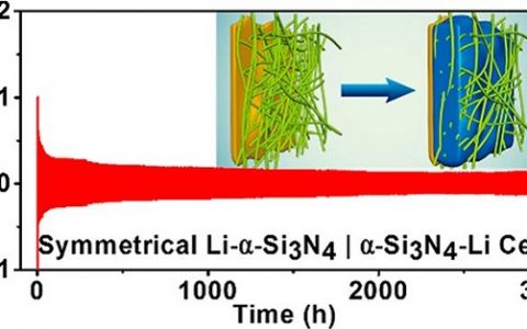 西北工业大学Nano Letters：多孔介质中锂枝晶生长抑制机理