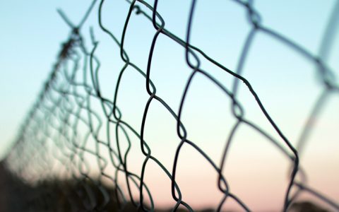 拆除论文“付费墙” 并重塑学术出版生态