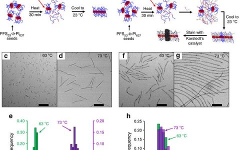 加拿大多伦多大学Nat. Commun.：嵌段共聚物微晶的捕获和微晶溶解
