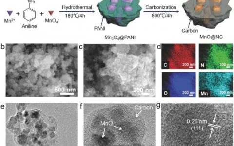 苏州大学马万里教授Adv. Energy Mater.：具有优异稳定性能的全聚合物太阳能电池
