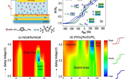 西交大Nature子刊：通过离子液体调控人工反铁磁材料中的RKKY效应