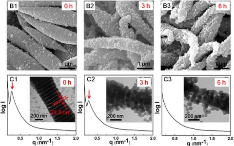 Angew. Chem. Int. Ed.：空间序列静电场拆解多隔间聚合物胶束及其在时间顺序释放中的应用