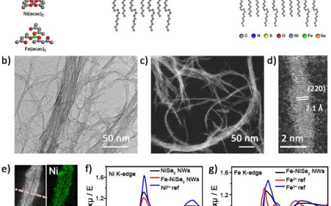 俞书宏Angew. Chem. Int. Ed.：铁掺杂NiSe2纳米线的合成及其表面致密氧化