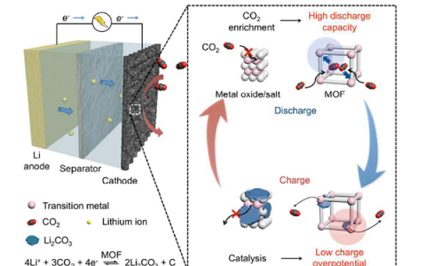 Energ. Environ. Sci.：用于Li-CO2电池中高性能CO2电极的锰金属-有机框架