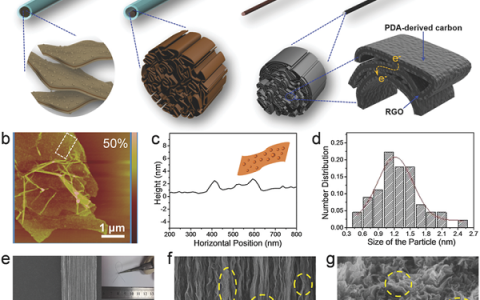 俞书宏Adv. Mater.:仿生界面设计提高石墨烯基纤维的强度和电导率