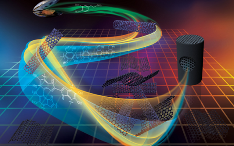 北京化工大学隋刚教授：用于高效有机污染物清除的石墨烯气凝胶