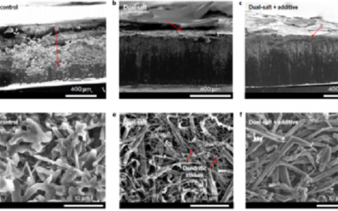 专题报道：Imide-Orthoborate双盐电解质体系抑制锂枝晶及提升锂金属库仑效率的研究