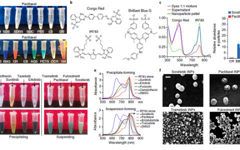 Nat. Mater.：定量自组装预测产生有针对性的纳米药物