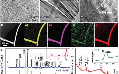 Adv. Energy Mater. ：通过硅取代缓解应力的纳米线用于高容量和稳定的锂储存