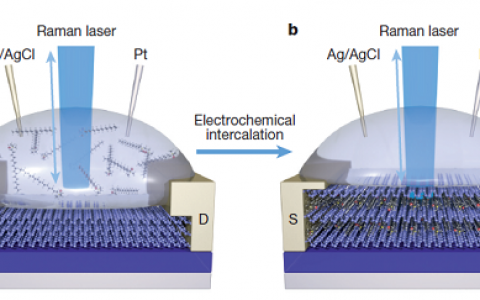 段镶锋携手湖南大学再发Nature:单层原子晶体分子超晶格