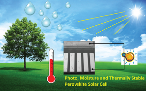 经典综述大放送：迈进钙钛矿光伏电池大门，请从这十篇综述开始