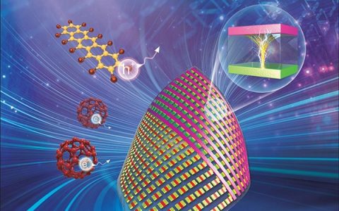 深圳大学韩素婷、周晔团队Small综述：基于有机纳米材料的柔性存储器件研究进展
