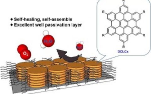 Corros. Sci.：具有优异的超疏水表面和抗腐蚀性能的盘状柱状液晶纳米结构