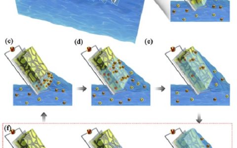 暨南大学Nano Energy：基于电动理论的海洋波浪能捕获