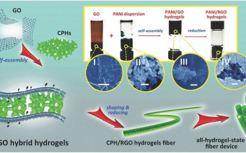 Adv. Mater.： 通过3D石墨烯/纳米结构导电聚合物水凝胶实现可拉伸全凝胶态纤维状超级电容器