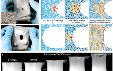 Adv.Mater.：借助液态金属显著提高软物质强度