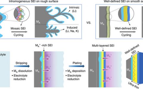 厦门大学Nat. Commun: 三种碱金属表面的电化学调控及SEI膜的多尺度表征