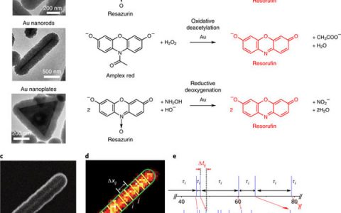 Nat. Chem. :单纳米催化剂内部和之间的协同效应