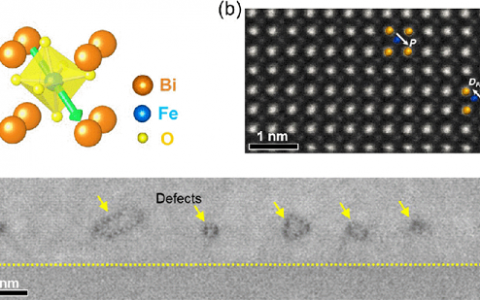 加州大学欧文分校Phys. Rev. Lett.：多铁性材料的缺陷引起的刺猬状偏振态