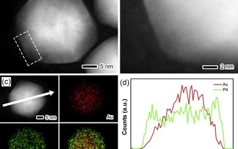 张辉&邬剑波Sci. Bull.: 多金属AuPd@Pd@Pt核-中间层-壳二十面体电催化剂在高效氧还原（ORR）反应中的应用