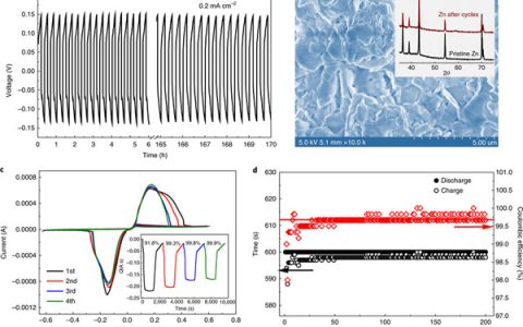 Nat. Mater: 用于含水电池的高度可逆的锌金属阳极
