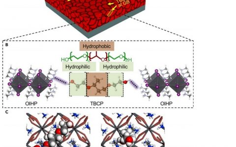 布朗大学 Chem : 基于连续晶界功能化的高效稳定钙钛矿太阳能电池