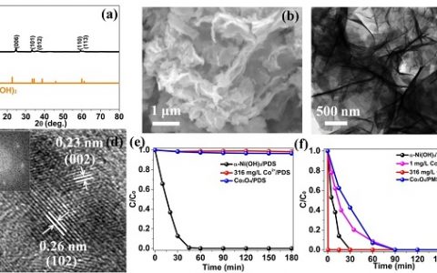 上海交大赵一新Sci. Bull.: 二次电池材料氢氧化镍作为一种Ni基异相催化剂用于激发产生硫酸根自由基