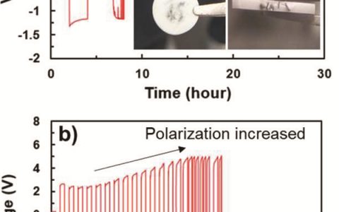 阿肯色大学&华盛顿大学Energy Environ. Sci. :固态电池中,固态电解质解决锂枝晶问题