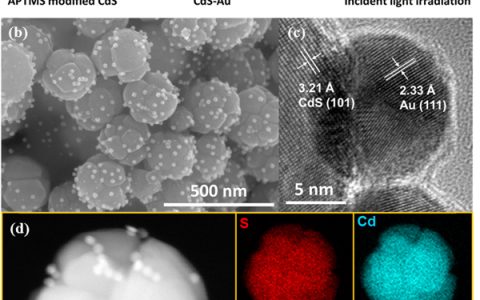 厦门大学Nano Energy：CdS核-金等离子体卫星纳米结构增强光催化析氢反应