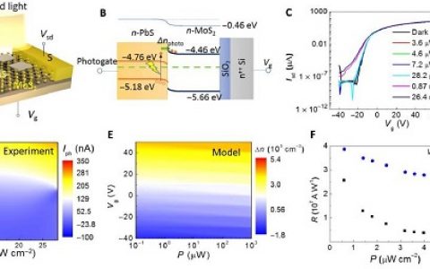 Science Advances：MoS2/PbS范德瓦尔斯异质结中的非易失性存储设备的红外记忆
