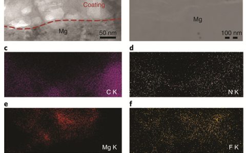 Nat. Chem. ：碳酸盐电解液中，合成的界面相提高镁的电化学可逆性