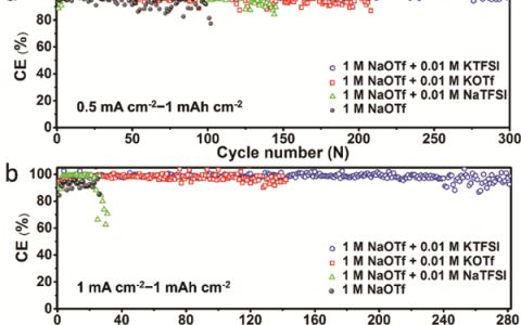 Angew. Chem. Int. Ed.：双功能钾盐解决了钠离子电池的钠枝晶问题